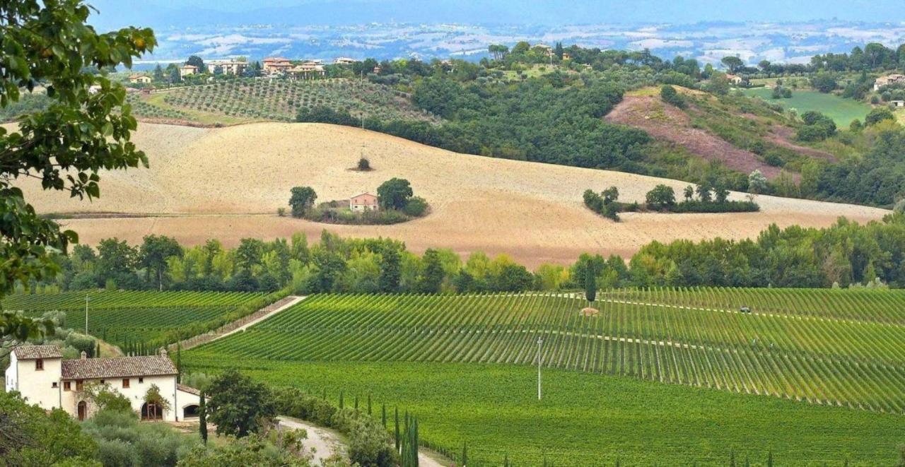 Villa Le Buche Sarteano Exteriör bild